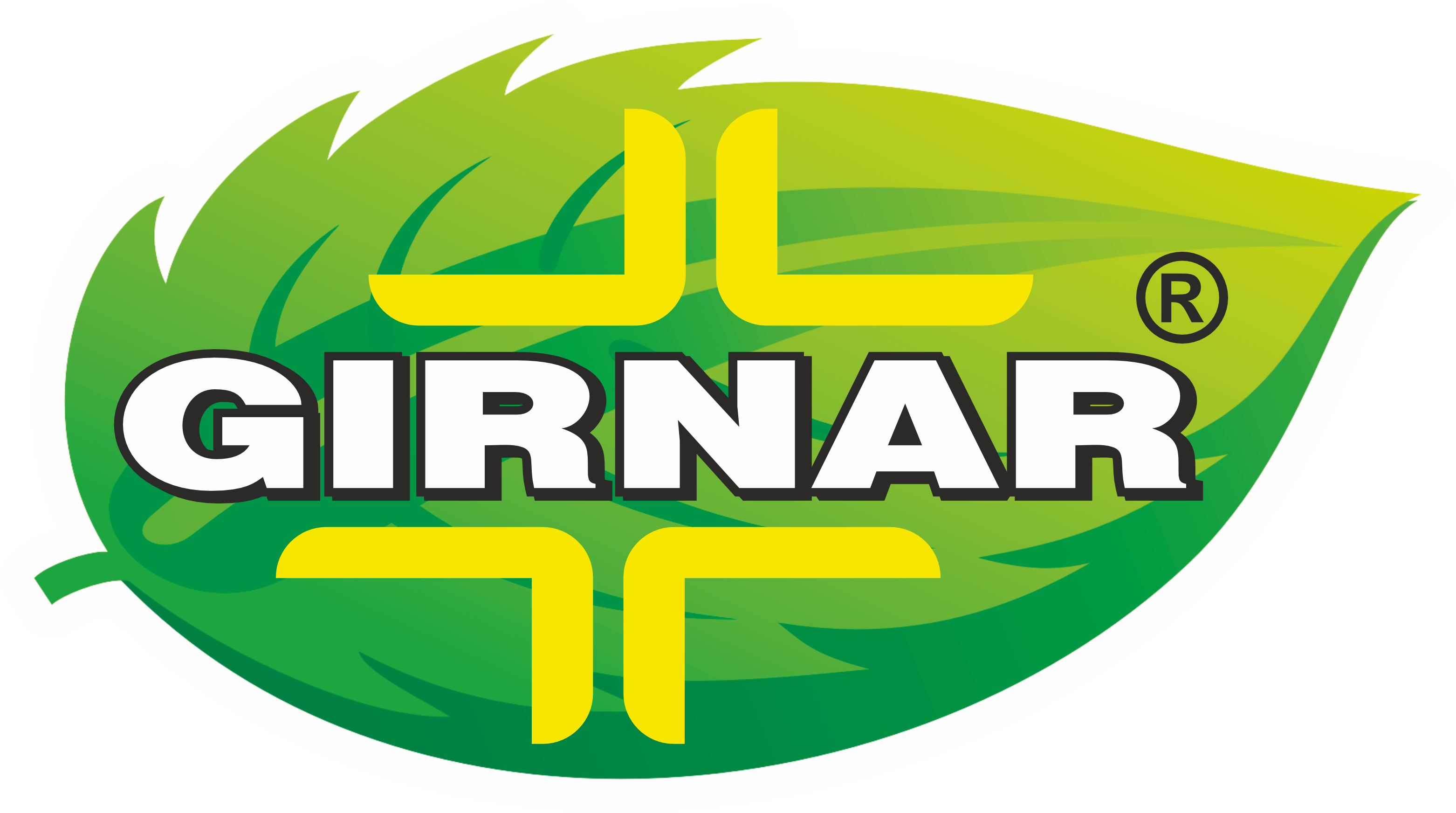 Girnar logo with green leaf design on a white background

